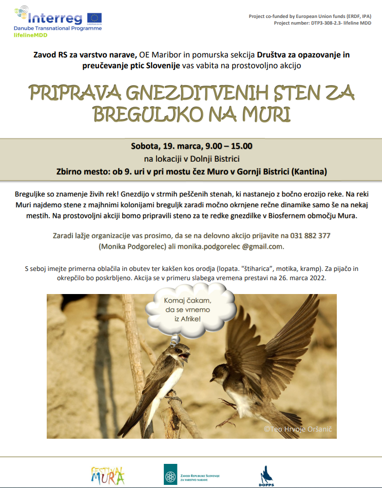 BREGULJKA NA MURI.PNG